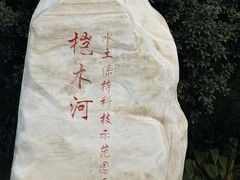 -桤木河湿地公园