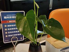 -眉州东坡(北苑华贸店)