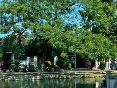 -绍兴鲁迅故里·沈园景区