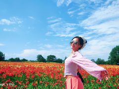 -汉长安城未央宫国家考古遗址公园