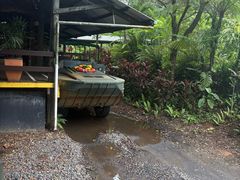 -热带雨林自然公园