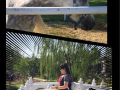 -武清南湖绿博园