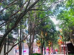 -云南民族村