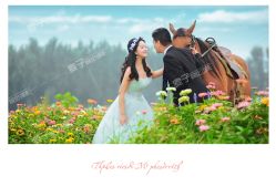-都市丽人婚纱摄影