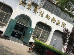 -北京赛佳动物医院