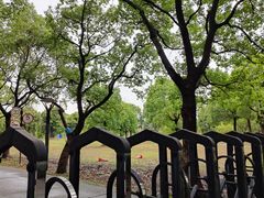 -昆山城市生态森林公园