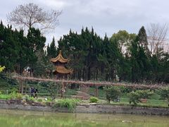 -嘉定紫藤园