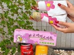 -大鸭梨烤鸭(望京店)