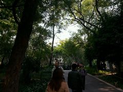 android_upload_pic-晓港公园