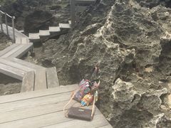 -龙坑生态保护区