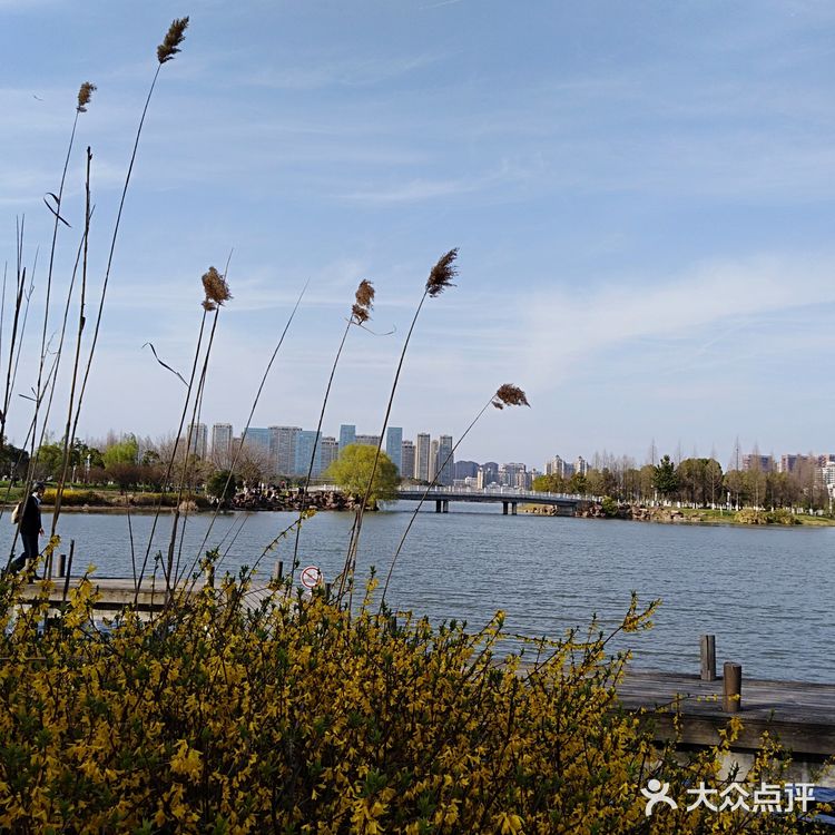 翡翠湖公园开放第一天， 阳光正好， 风轻云淡