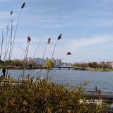 翡翠湖公园开放第一天， 阳光正好， 风轻云淡