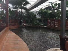 -汤山翠谷生态餐厅