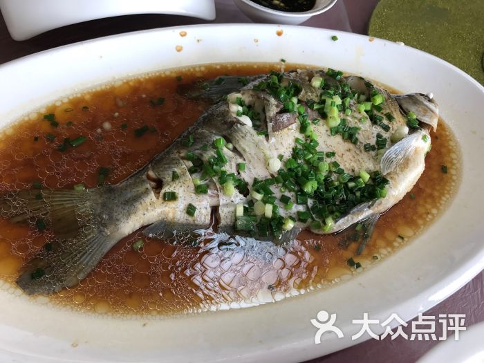 文人墨客农庄图片 - 第37张