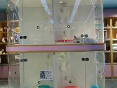 -龟与熊猫宠物公园(南坪店)