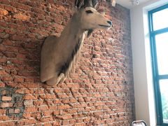 景观位-Vanilla Specialty Coffee(八大关店)