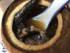 原只椰子炖竹丝鸡-達揚原味燉品(文明路店)