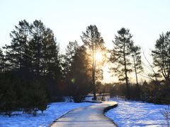 -北极村旅游风景区