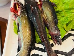 -蜀九香火锅(九眼桥店)