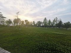 -洨河生态公园