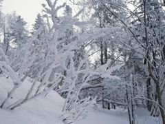 -雪谷