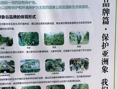 -野象谷景区