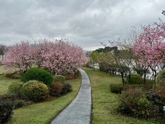 -福建鲤鱼洲酒店