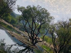 -武汉姚家山旅游景区