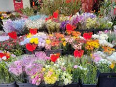 -溪岸路花鸟市场