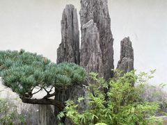 -上海醉白池公园