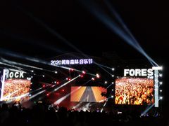 -黄海国家森林公园