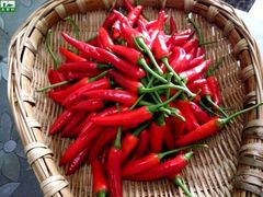 -莲塘味宝园牛杂(天越翔园店)