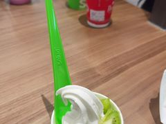 冻酸奶-Salud撒露欧洲冻酸奶(蓝色港湾店)