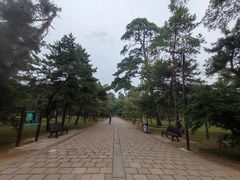 -沈阳市东陵公园