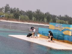 -秦皇岛乐岛海洋王国