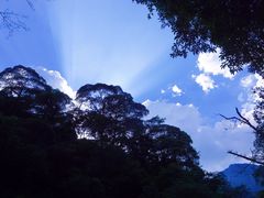 -祁门牯牛降观音堂风景区