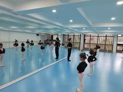 -西安小天鹅艺术团(曲江Alice店)