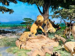 -国家自然博物馆