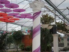 -广东花都香草世界旅游度假区