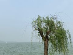 -东钱湖小普陀景区