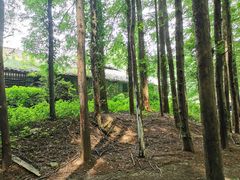 -山王坪喀斯特国家生态公园