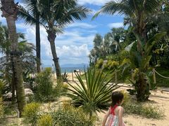 -精酿农场Brew Farm·沙漠绿洲餐厅