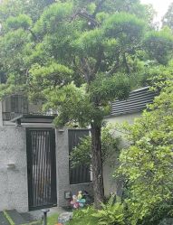 -同远QQBABY亲子摄影(北京路店)