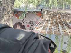 -尚庄度假村·庭台树下·户外烧烤·团建CS·轰趴营地(上庄水库店)