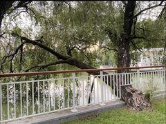 -人民公园(罗湖区)