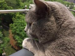 -三两三民谣咖啡清吧