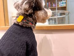 -佐罗家宠物馆·猫文化馆(紫霞路店)