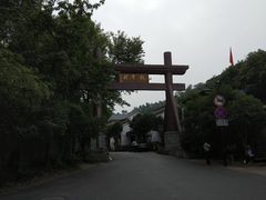 -龙井村