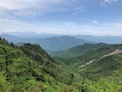 -朱雀国家森林公园