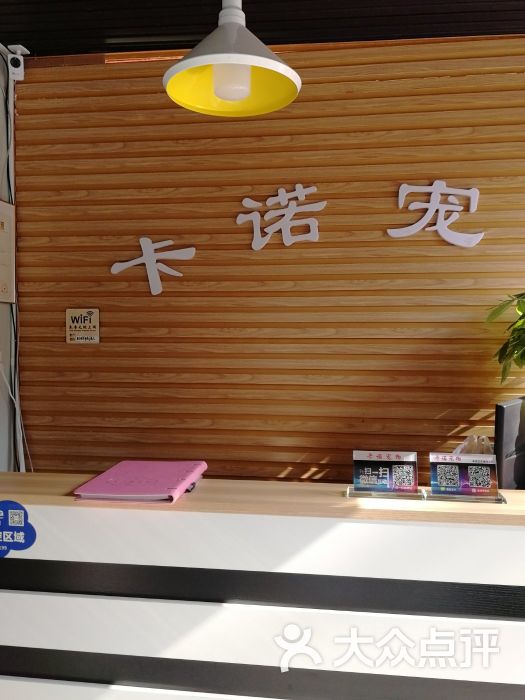 卡诺宠物图片 - 第2张